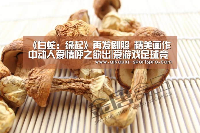 《白蛇:缘起》再发剧照 精美画作中动人爱情呼之欲出|爱游戏足球竞猜(图1) 爱游戏体育赛事直播