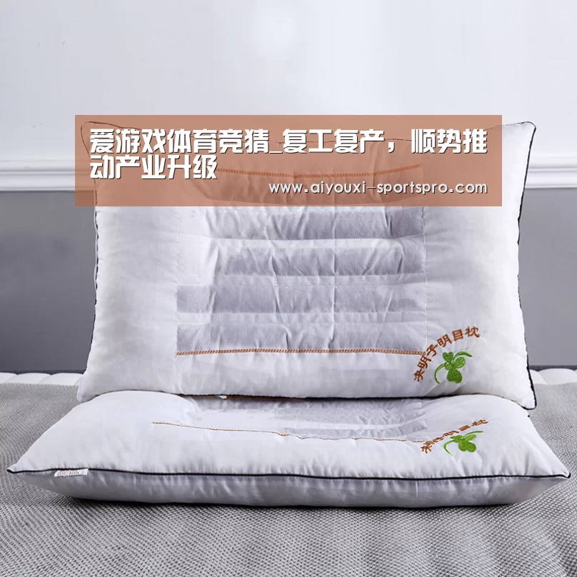 爱游戏体育竞猜_复工复产,顺势推动产业升级(图2) 爱游戏体育赛事直播