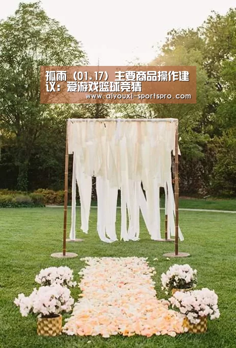 孤雨(01.17)主要商品操作建议:爱游戏篮球竞猜(图1) 爱游戏体育赛事直播