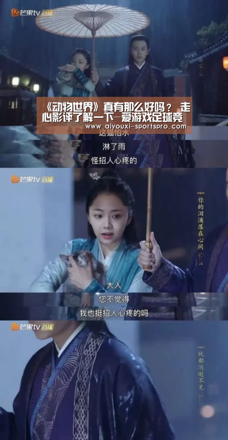 爱游戏足球竞猜