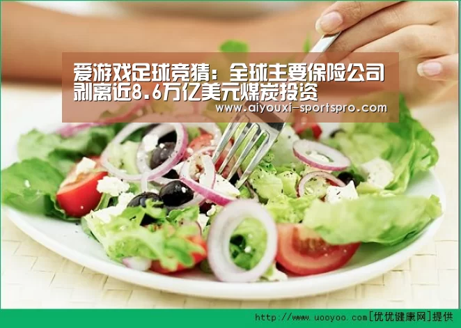 爱游戏篮球竞猜