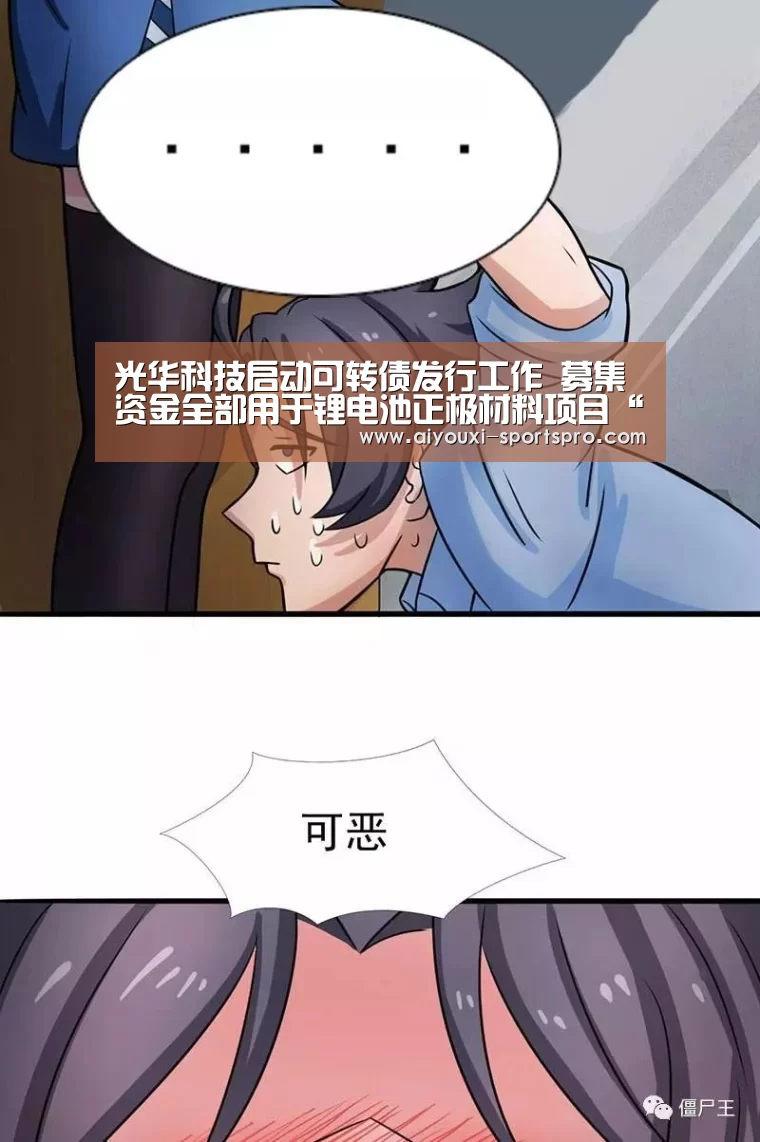 光华科技启动可转债发行工作 募集资金全部用于锂电池正极材料项目“爱游戏体育赛事直播”(图2) 爱游戏足球竞猜