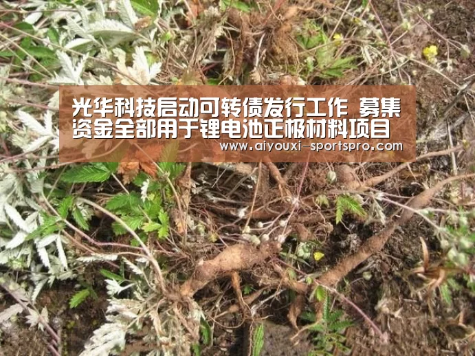 光华科技启动可转债发行工作 募集资金全部用于锂电池正极材料项目“爱游戏体育赛事直播”(图3) 爱游戏体育赛事直播